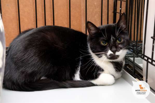 Робкая Тамара ищет любящую семью в Москве