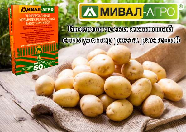 Высокоэффективный стимулятор роста растений Мивал-Агро в 