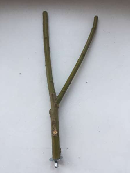 Жердочки для птиц в Екатеринбурге фото 12