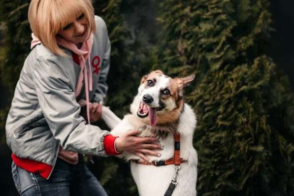 Тунис в поисках любящей семьи в Москве фото 40