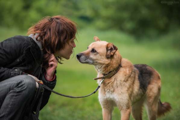 Харизматичный Марк ищет дом в Москве фото 19