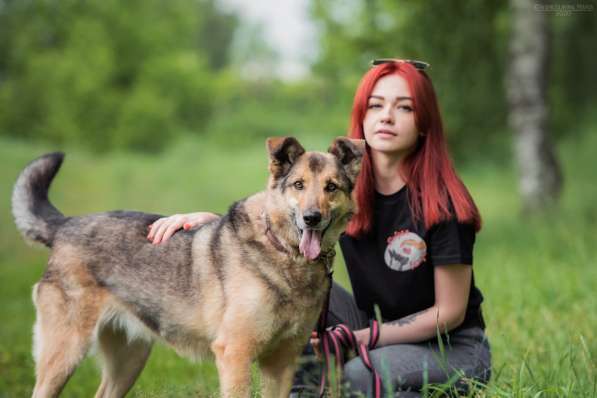 Дружелюбный Денвер ищет семью в Москве фото 15