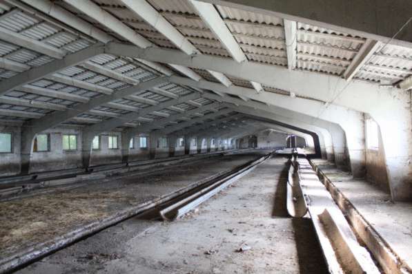 Продается свино-товарная ферма с земельным участком 19га в Краснодаре фото 5