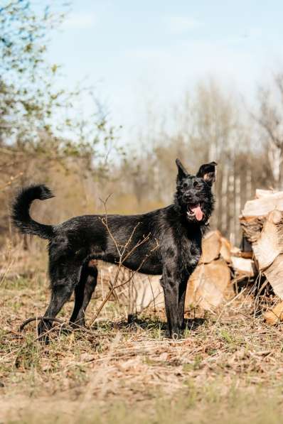 Заберите меня, пожалуйста в Москве фото 6