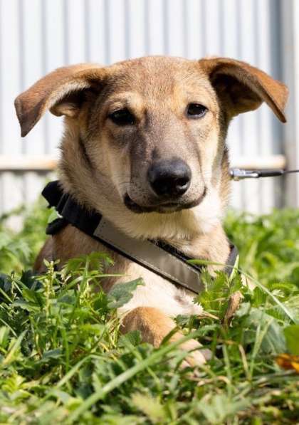 Сироте Марселю нужен дом в Москве фото 8