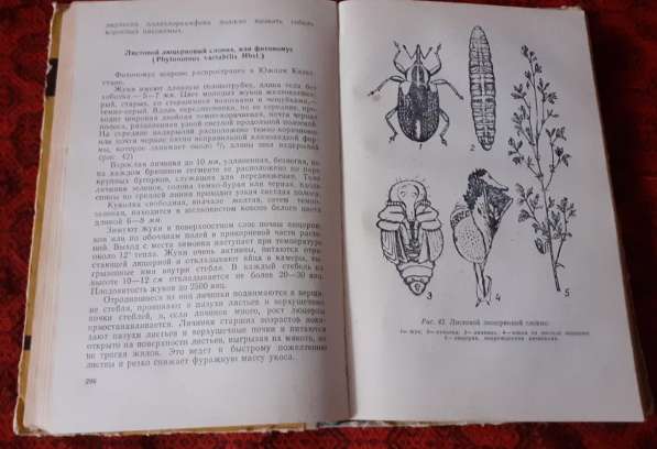 Справочник по борьбе с вредителями сельскохозяйственных куль в фото 4