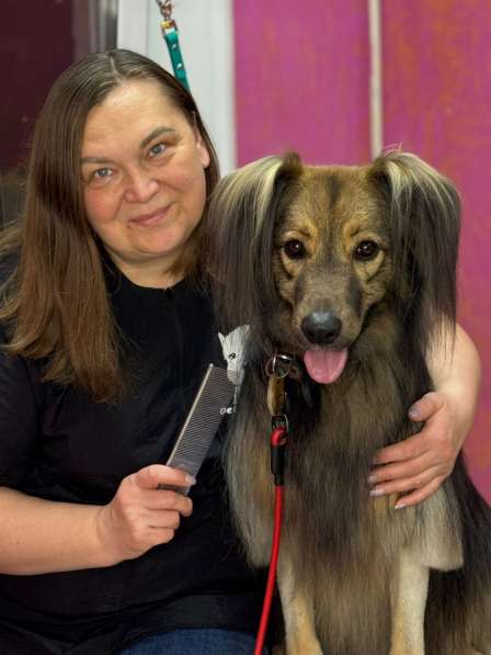 Экспресс -линька собак и кошек в Челябинске