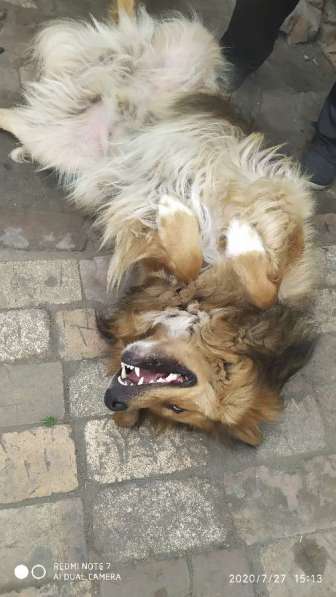 Девочки в Омске фото 6