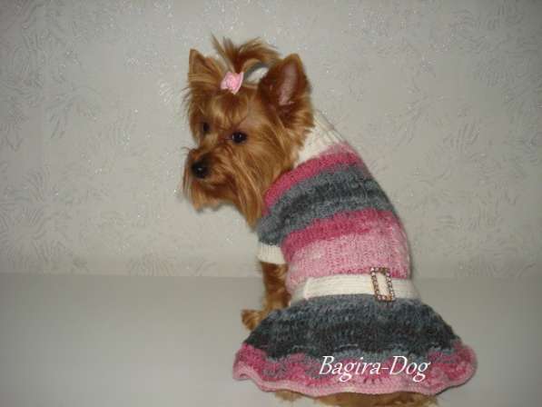 Вязаная одежда для собак в Москве фото 14