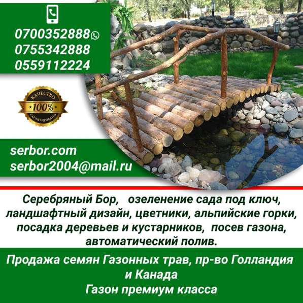 Продажа семян газонных трав, производство Голландия и Канада в