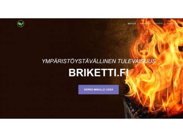 Vaalea Standardi Puubriketti в фото 16