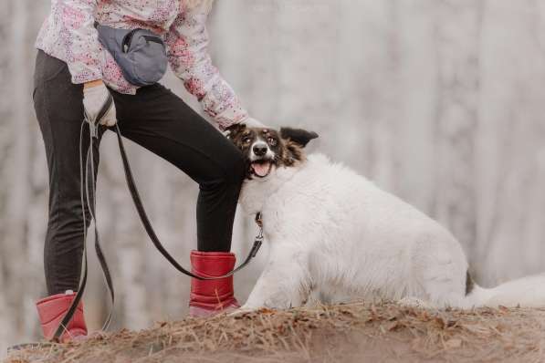 Пушистая красавица Электра ищет семью в Москве фото 18
