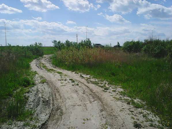 Липовое озеро, федеральная трасса в Тюмени фото 15