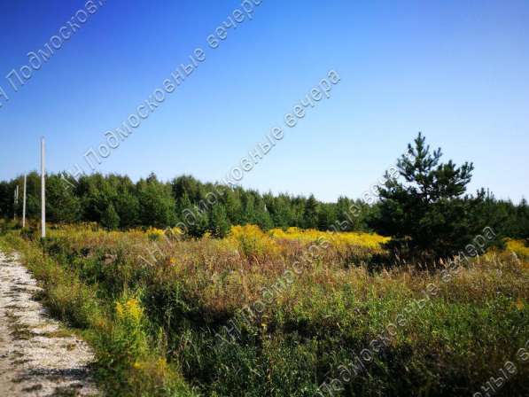 realty_mapper3.plot_in_locationИндивидуальное жилищное ст-во. Площадь 16.00 сот.Есть Электричество. в Москве фото 6