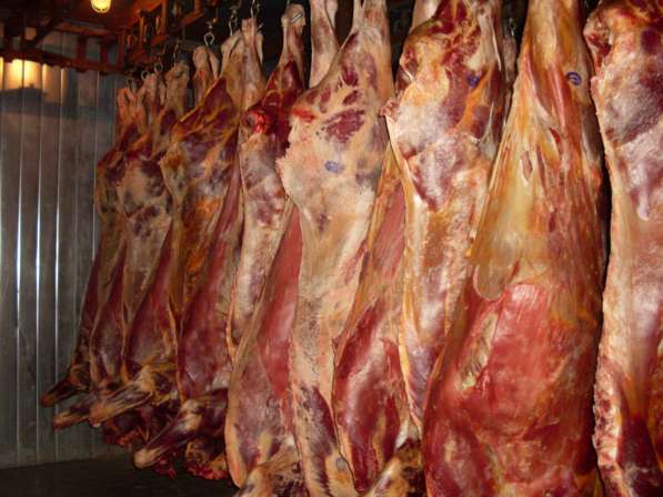 Мясо говядины и свинины оптом в Екатеринбурге