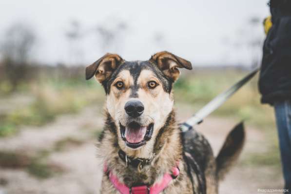 Нежнющий Купер в Москве фото 24