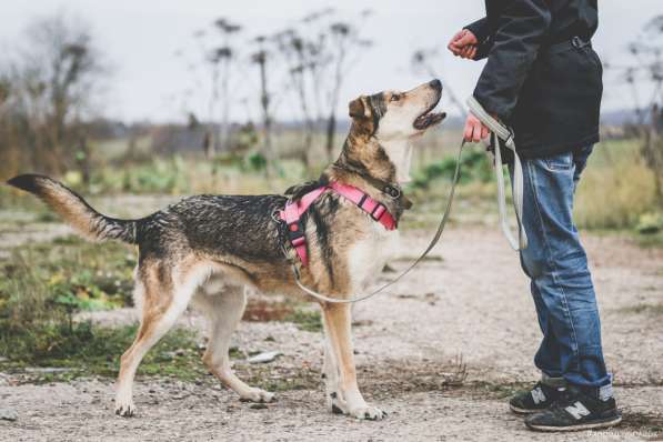 Нежнющий Купер в Москве фото 21