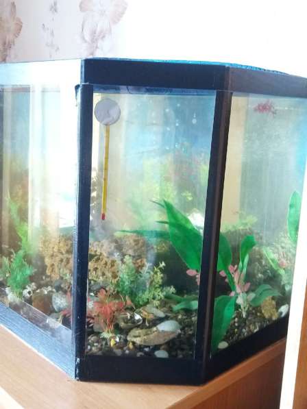 Продам аквариум для рыбок в Красноярске
