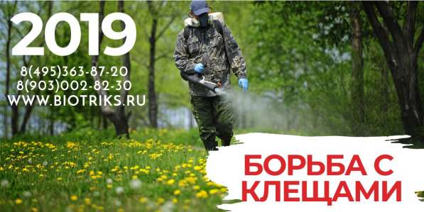 Борьба с Борщевиком Сосновского в Заокском в Ефремове фото 8