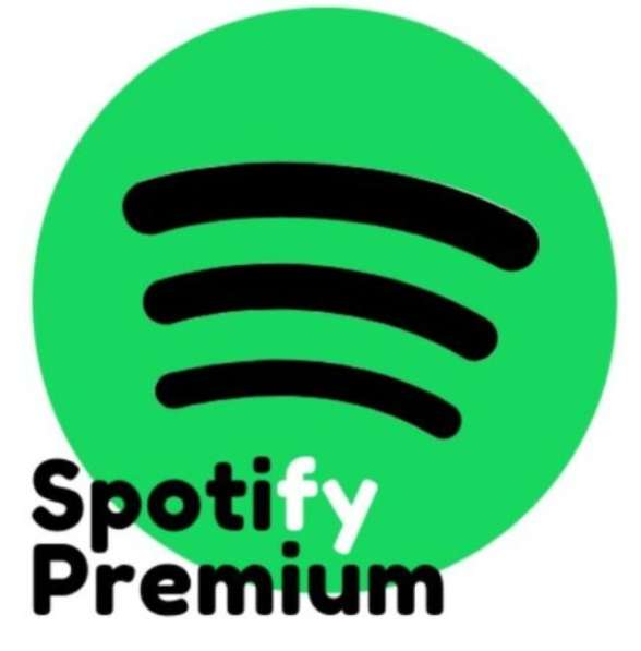 Spotify 6 month premium в Москве фото 5