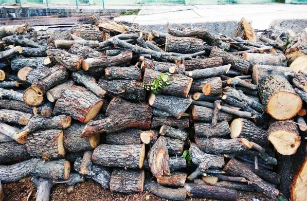 Продаются дрова в Ялте