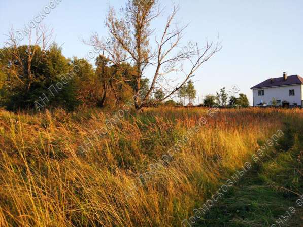 realty_mapper3.plot_in_locationПлощадь 6.00 сот.Есть Электричество, Газ. в Москве фото 9