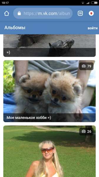 Померанский шпиц -две миниатюрные девочки в Солнечногорске фото 9