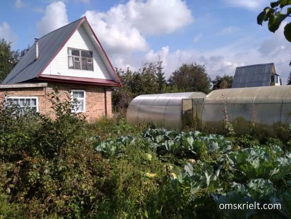 Срочно продам дачу в Омске фото 6