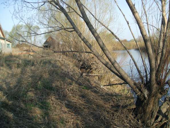 Продается дом у реки и участок 24 сотки в Алтайском крае в Барнауле фото 6