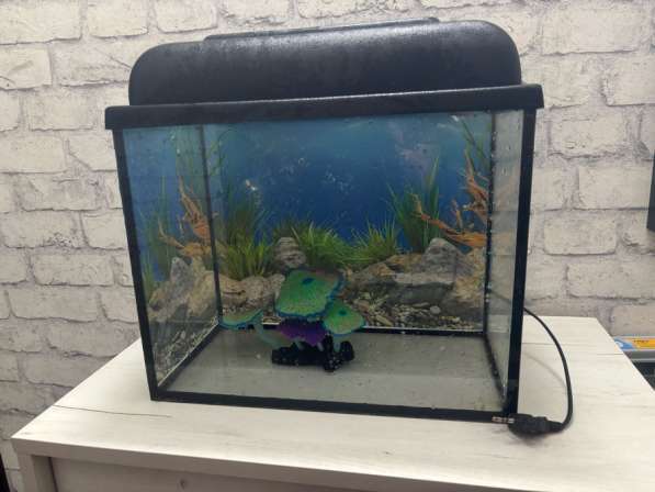 Аквариум 20 литров