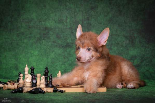 КХС в Москве фото 13