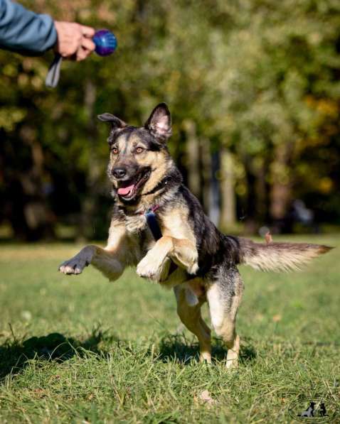 -Москва, услышьте зов Персея! в Москве фото 4