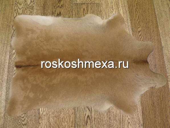 Шкуры телят — практично и недорого в Москве фото 12