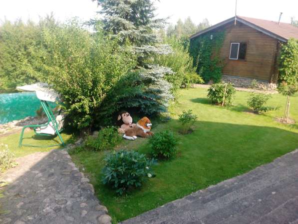 Агроусадьба под Минском на ЧМ в фото 20