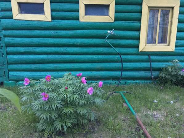 Срочно продам жилой дом + земельный участок в Омске фото 39