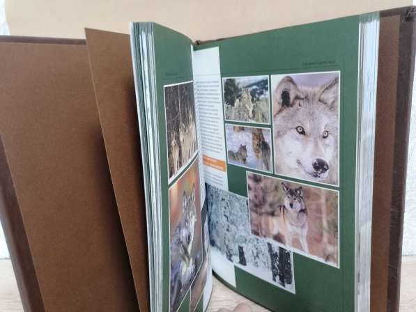 Подарочная кожаная книга Охота в Барнауле фото 9