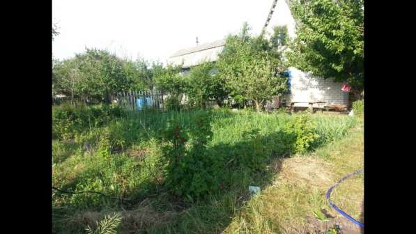 Продам Дачу с домиком Октябрьский район д. Митрофаново в Курске фото 6