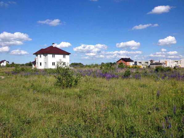 Продам земельный участок в п. М. Васильково в Калининграде фото 3