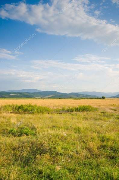 Чистенькое. участок 2.3 Га в Симферополе фото 4