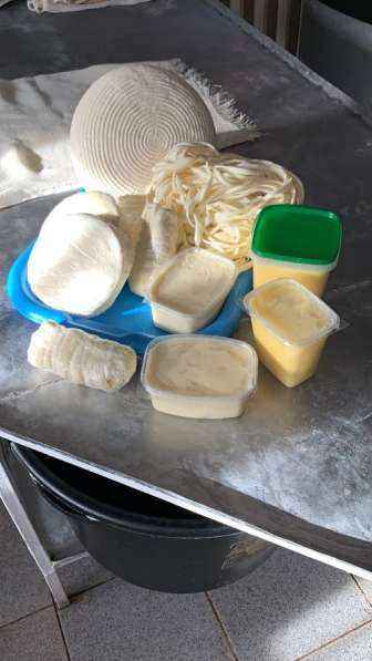 Сыр и масло свежее домашнеее вкусное в Тюмени фото 3