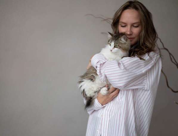 Кошка Вафля ищет дом в Екатеринбурге фото 4