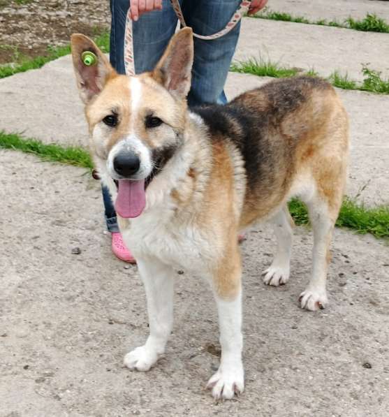 Супер позитивная девчонка Зира ищет своего ЧЕЛОВЕКА в Москве фото 8