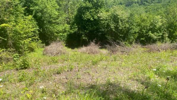 Продам участок 5 соток в Хостинском районе в Сочи фото 3