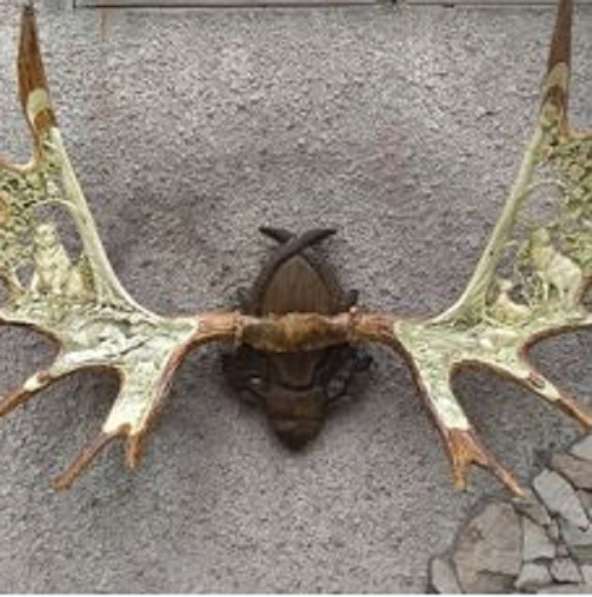 Изделия из рога лося