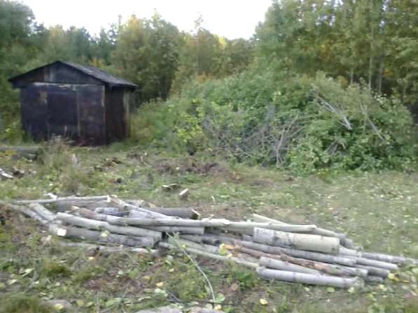 Продам срочно земельный участок в коллективном саду в Екатеринбурге фото 3