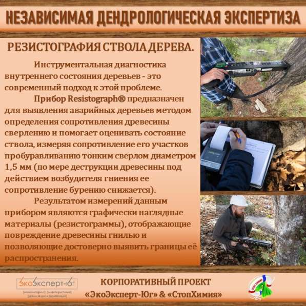 СИСТЕМА УПРАВЛЕНИЯ ФИТОСАНИТАРНЫМ СОСТОЯНИЕМ ЭКОСИСТЕМ в Сочи фото 25