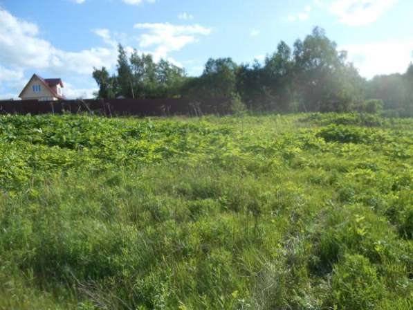Продается земельный участок 30 соток под ЛПХ в д. Павлищево, Можайский район 100 км от МКАД по Минскому шоссе. в Можайске