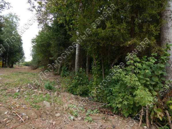 realty_mapper3.plot_in_locationПлощадь 15.00 сот.Есть Электричество, Газ. в Москве фото 4