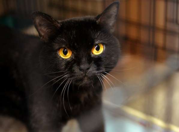 Добрая Ульяна ищет понимающего, душевного человека