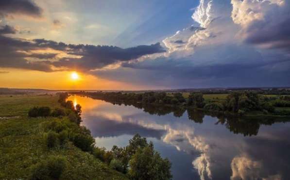 Продается земельные участки в лесном массиве у реки Дон в Москве фото 5